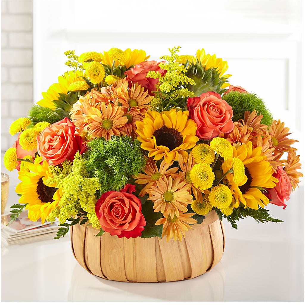 Harvest Sunflower Basket –  Haggen, Bellingham WA