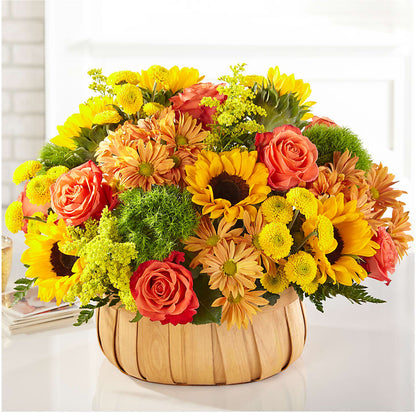 Harvest Sunflower Basket –  Haggen, Bellingham WA