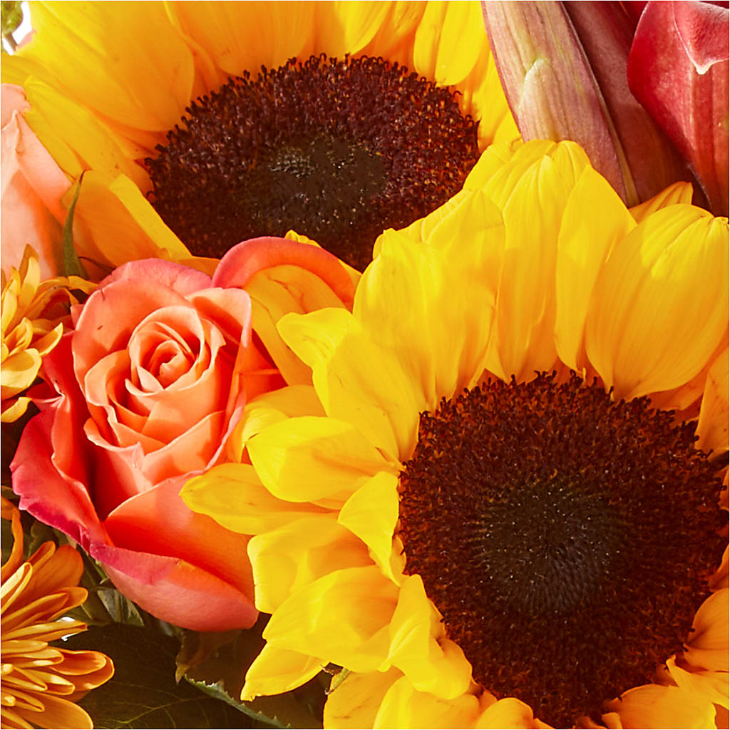 Acorn Lane Bouquet –  Haggen, Bellingham WA