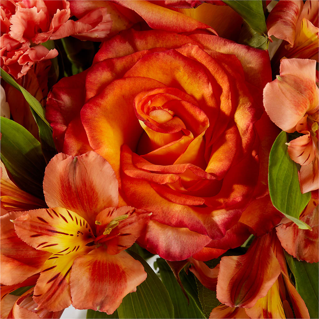 Apricot Glow Bouquet –  Haggen, Bellingham WA