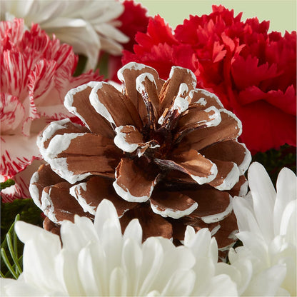 Candy Cane Lane Bouquet –  Haggen, Bellingham WA