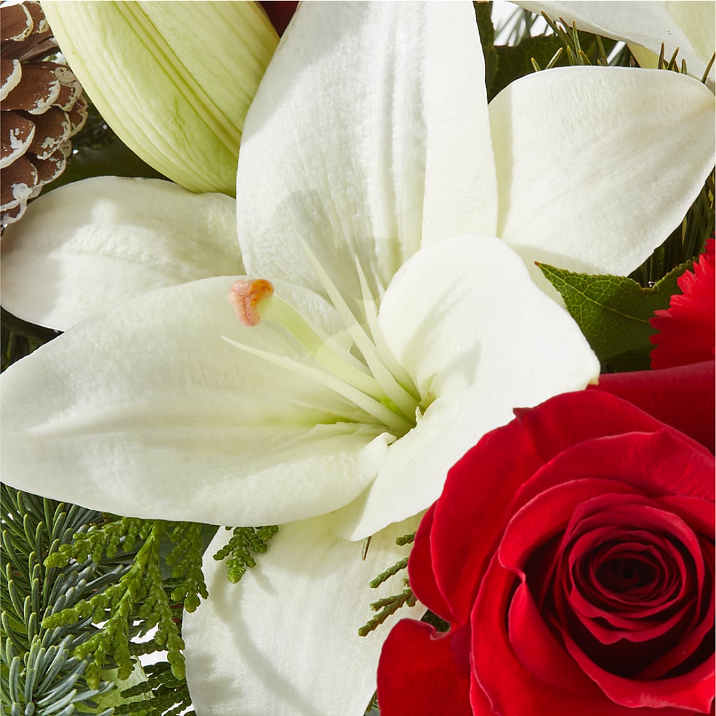Oh So Jolly Bouquet –  Haggen, Bellingham WA
