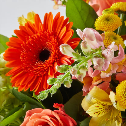 Autumn Sunshine Bouquet –  Haggen, Bellingham WA