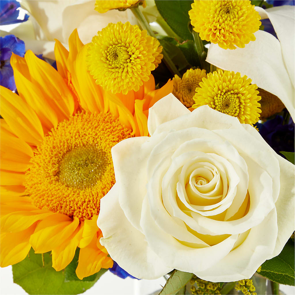 Stargazing Bouquet –  Haggen, Bellingham WA
