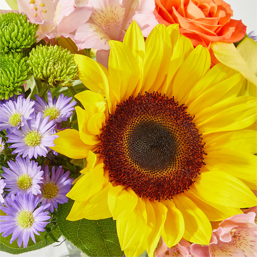 Basking in the Glow Bouquet –  Haggen, Bellingham WA
