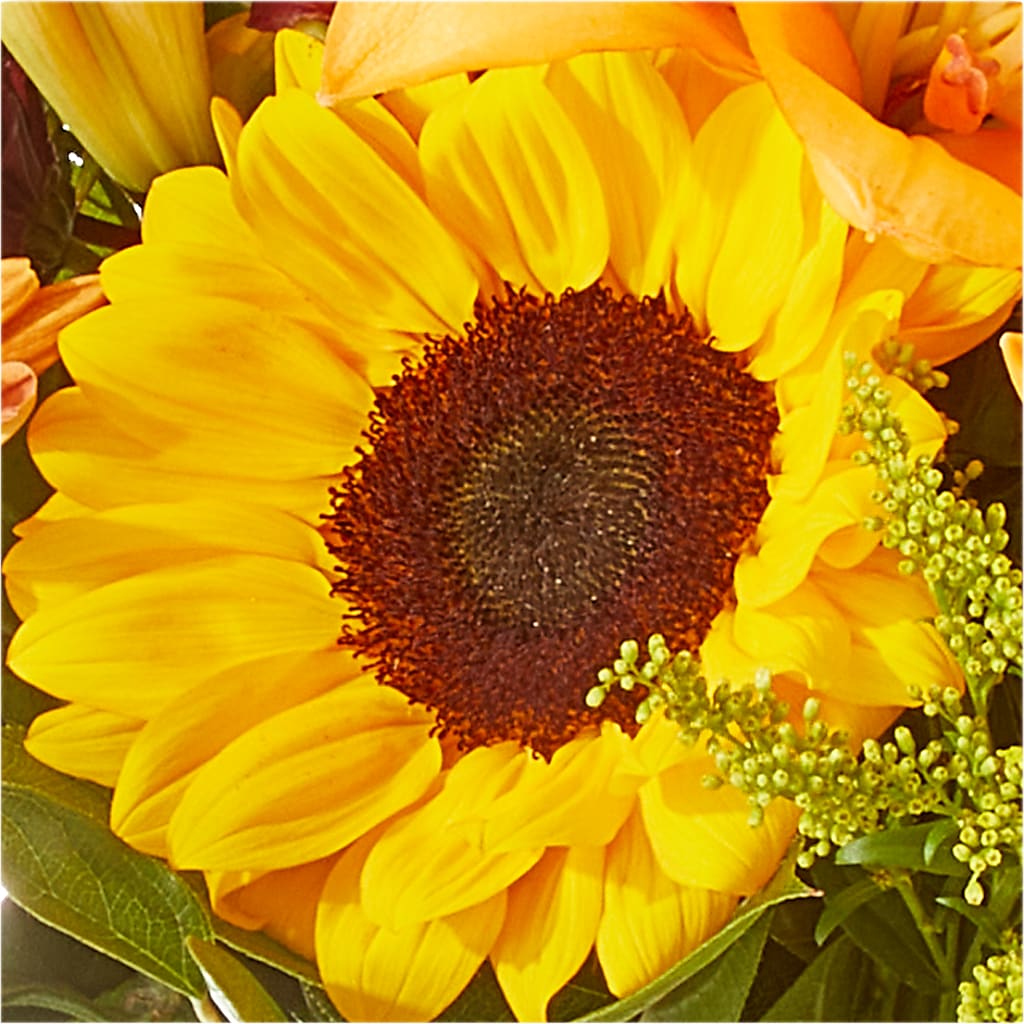 Seasons Change Bouquet –  Haggen, Bellingham WA