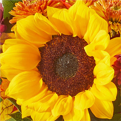 Sunny Side Bouquet –  Haggen, Bellingham WA