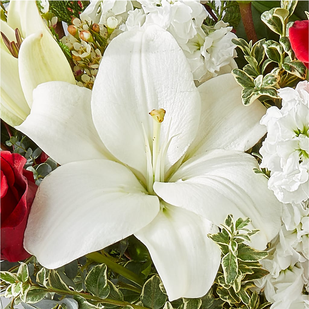 Twinkle Lights Bouquet –  Haggen, Bellingham WA