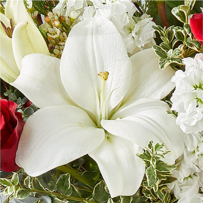 Twinkle Lights Bouquet –  Haggen, Bellingham WA
