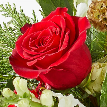 Deck the Halls Bouquet –  Haggen, Bellingham WA