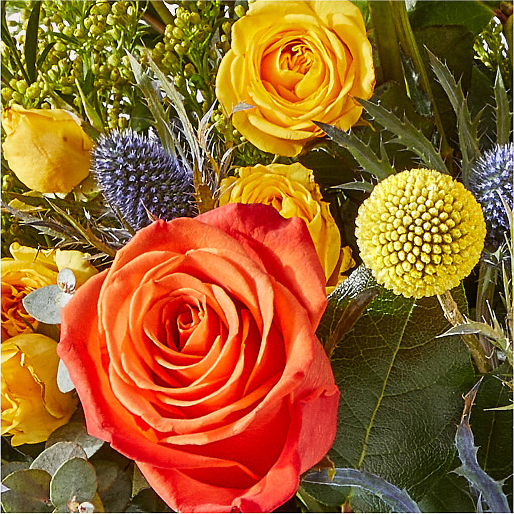 Disco Bouquet –  Haggen, Bellingham WA