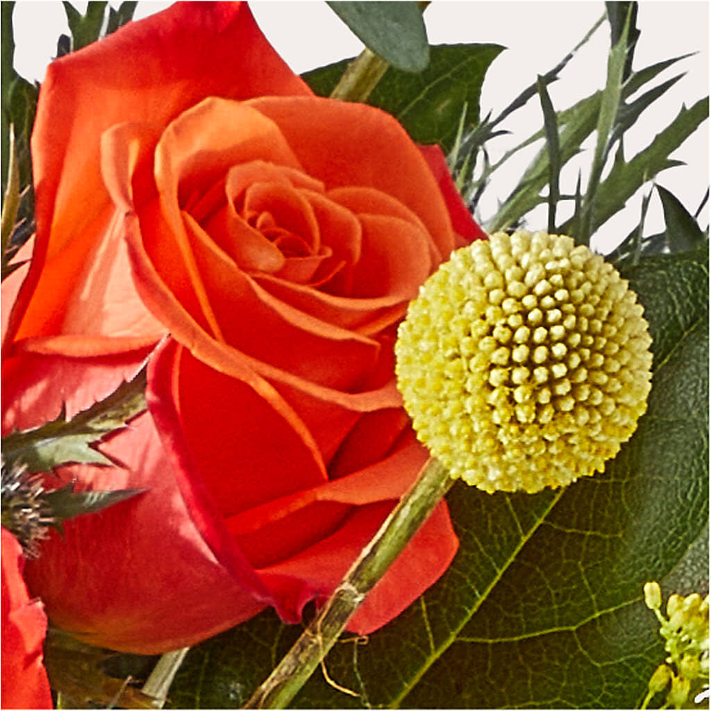 Disco Bouquet –  Haggen, Bellingham WA