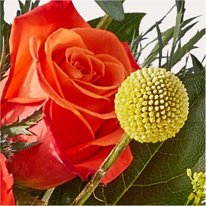 Disco Bouquet –  Haggen, Bellingham WA
