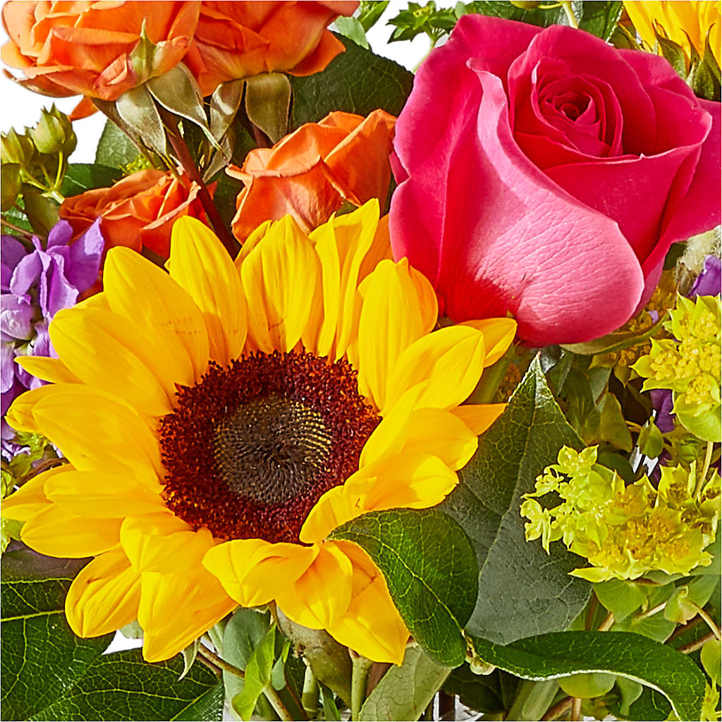 Vibrant Greetings Bouquet –  Haggen, Bellingham WA