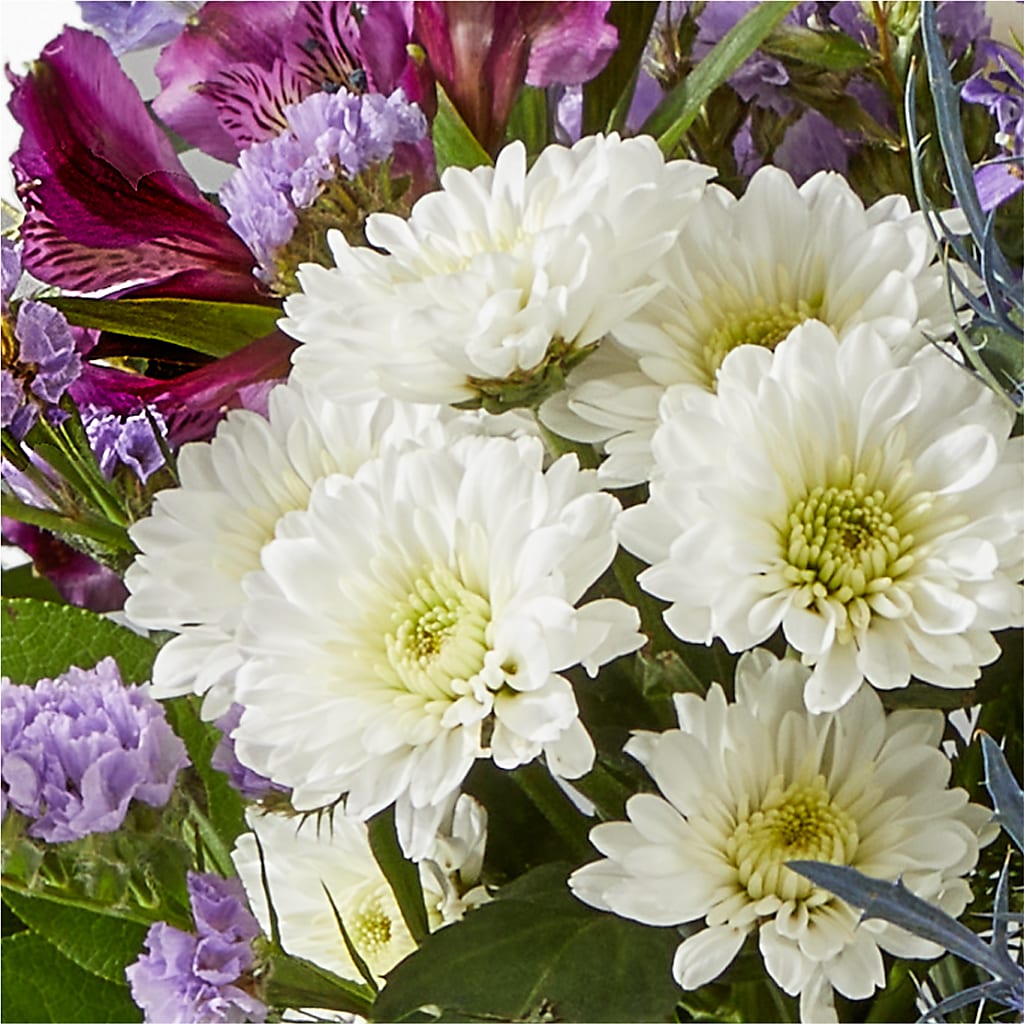 Shooting Star Bouquet –  Haggen, Bellingham WA