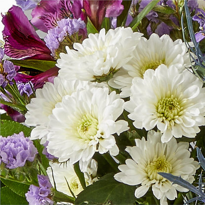 Shooting Star Bouquet –  Haggen, Bellingham WA