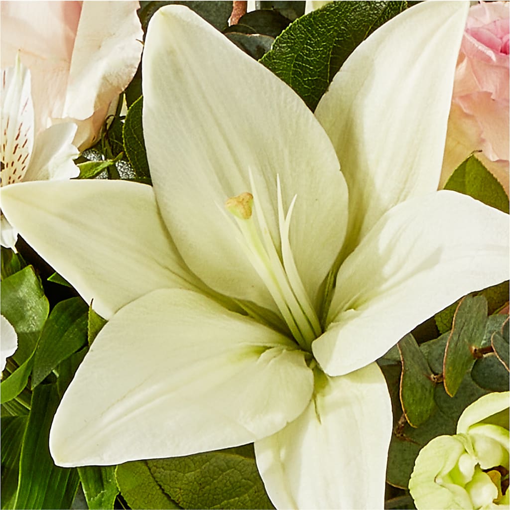 Ballet Slippers Bouquet –  Haggen, Bellingham WA