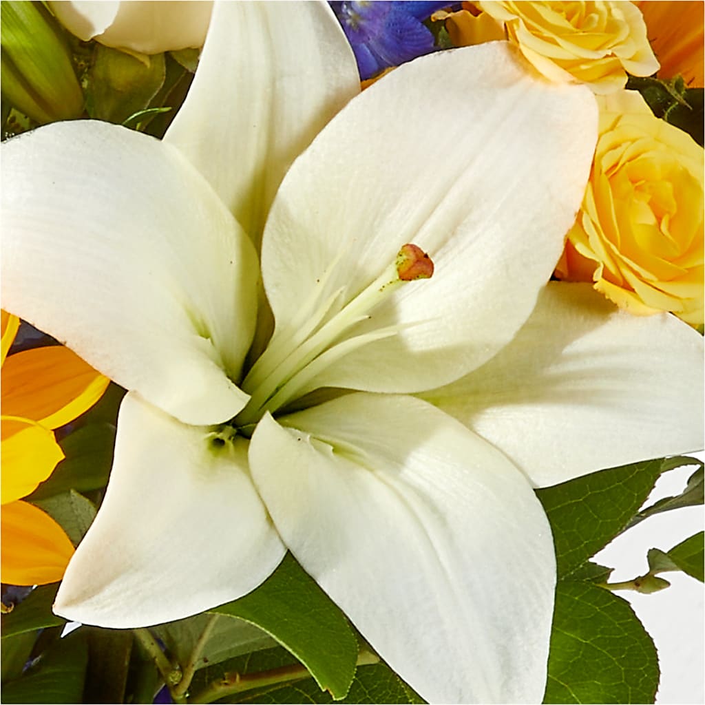 Wonderfully Sunny Bouquet –  Haggen, Bellingham WA