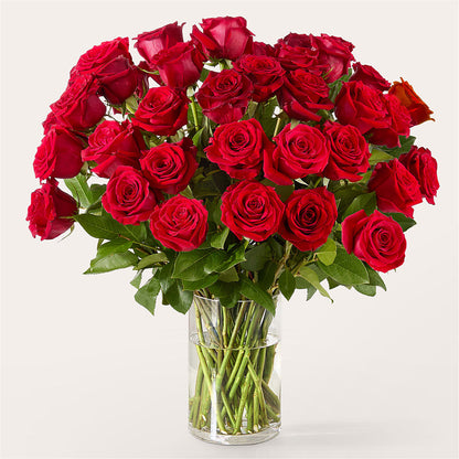 The One Red Rose Bouquet –  Haggen, Bellingham WA