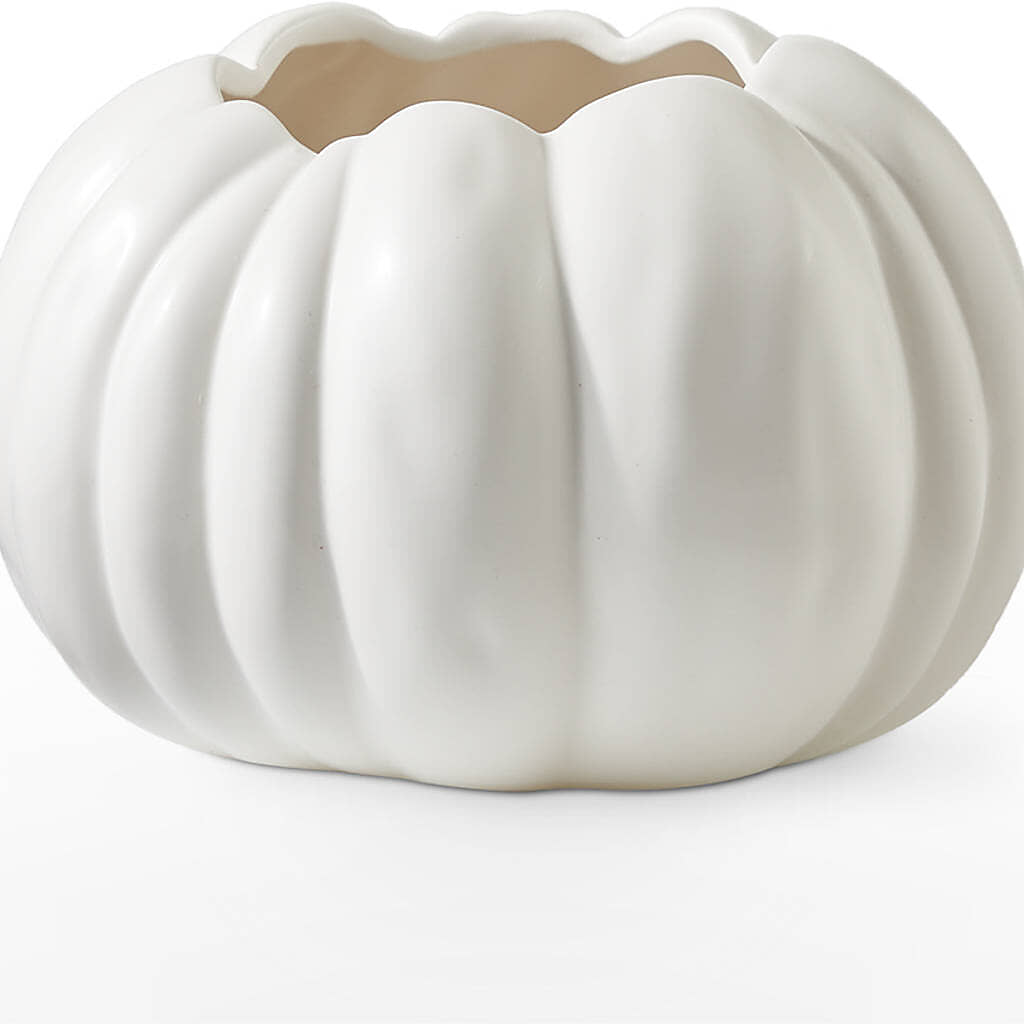 Pumpkin to Talk About Bouquet –  Haggen, Bellingham WA